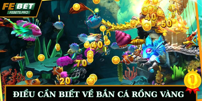 Vài điều cần biết khi bắt đầu chơi Bắn Cá Rồng Vàng