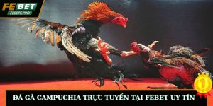 Đá Gà Campuchia Trực Tuyến Tại FEBET Uy Tín Hấp Dẫn