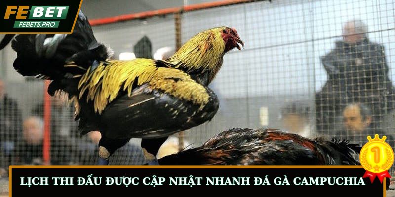 Lịch thi đấu được cập nhật nhanh đá gà Campuchia