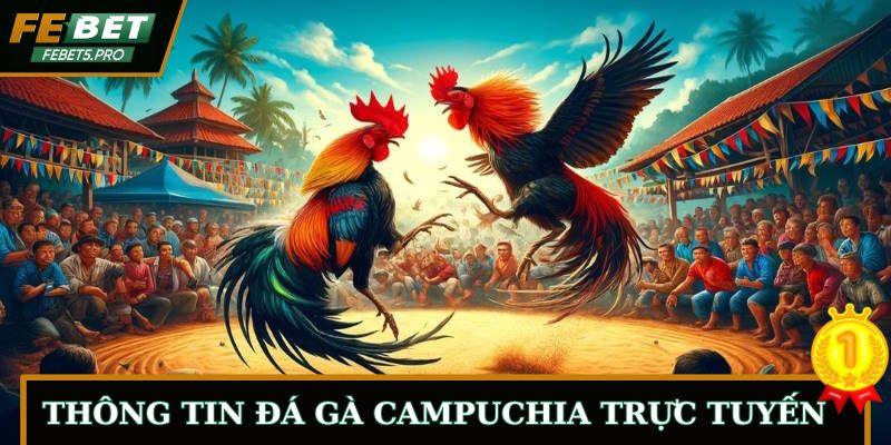 Thông tin đá gà Campuchia trực tuyến